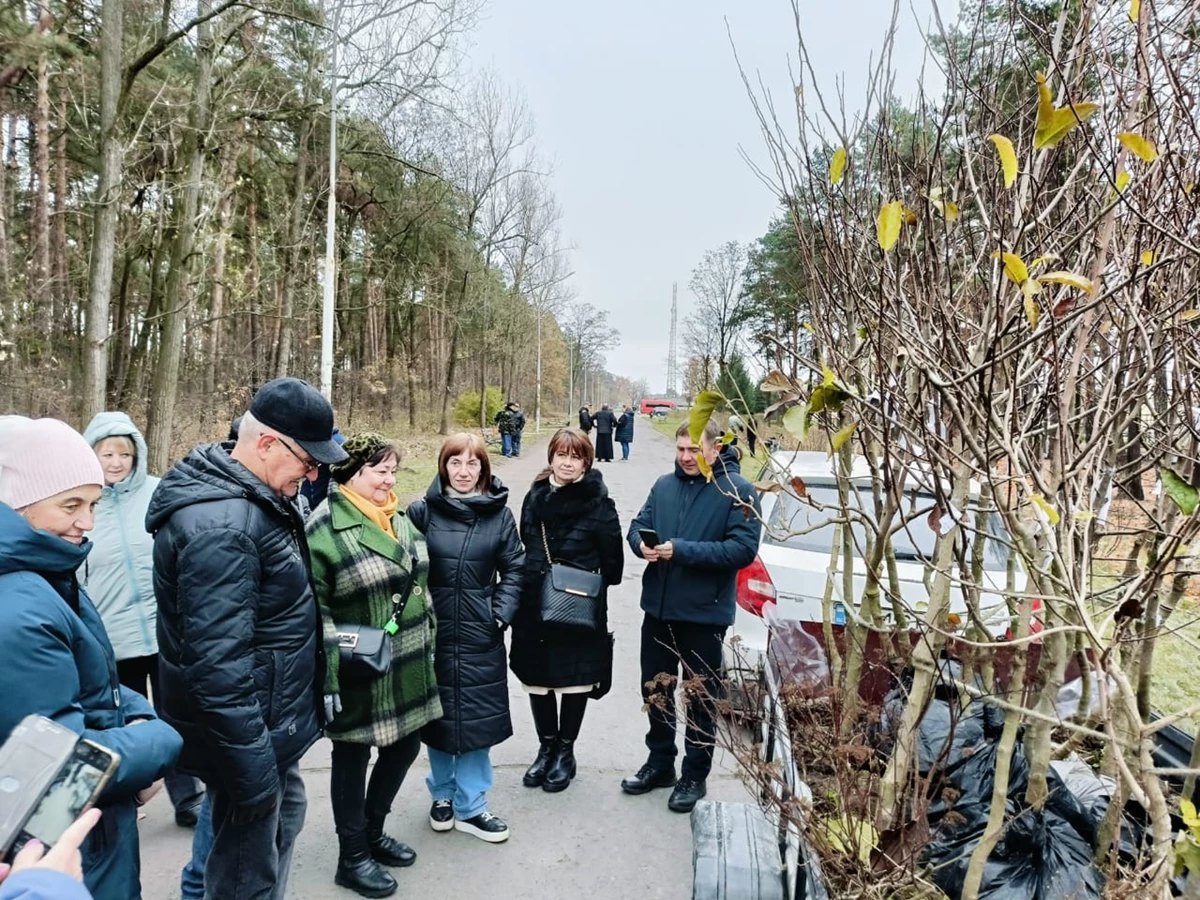 У міському парку Соснівки висадили алею з 30 магнолій