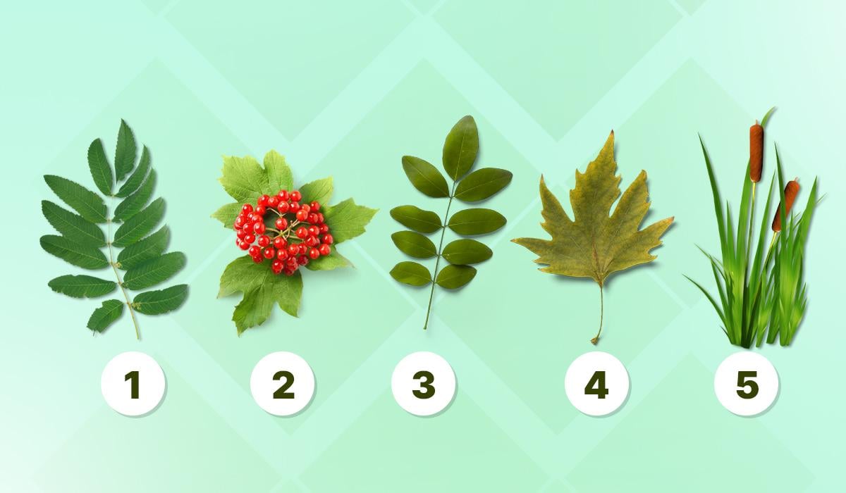 Цей психологічний тест 'дістане' всі приховані якості характеру: точність 99%