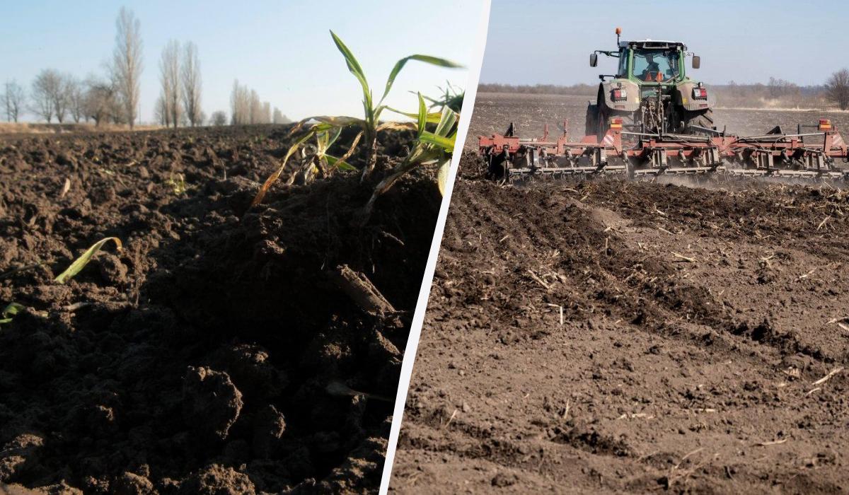 Чому чорнозем найродючіший ґрунт