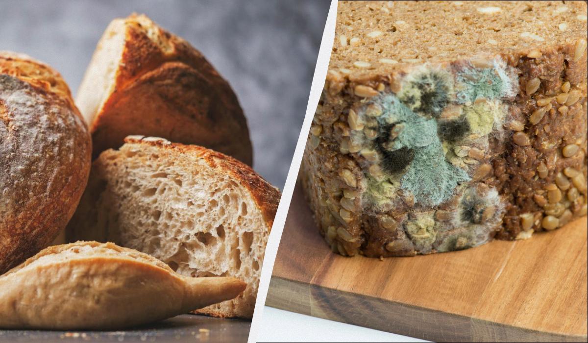 чому хліб черствіє