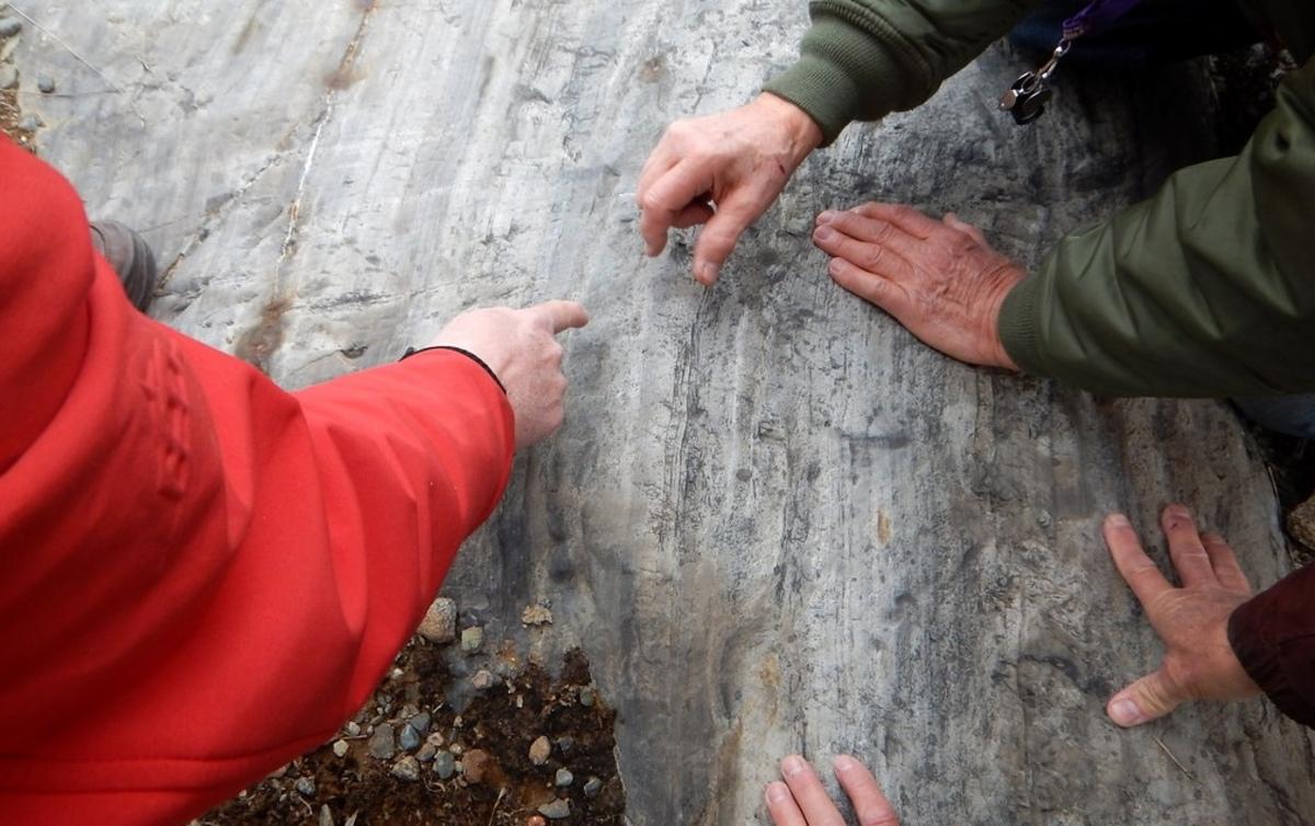 Геологи знайшли в скелі загадкові тунелі, які вказують на існування невідомої істоти