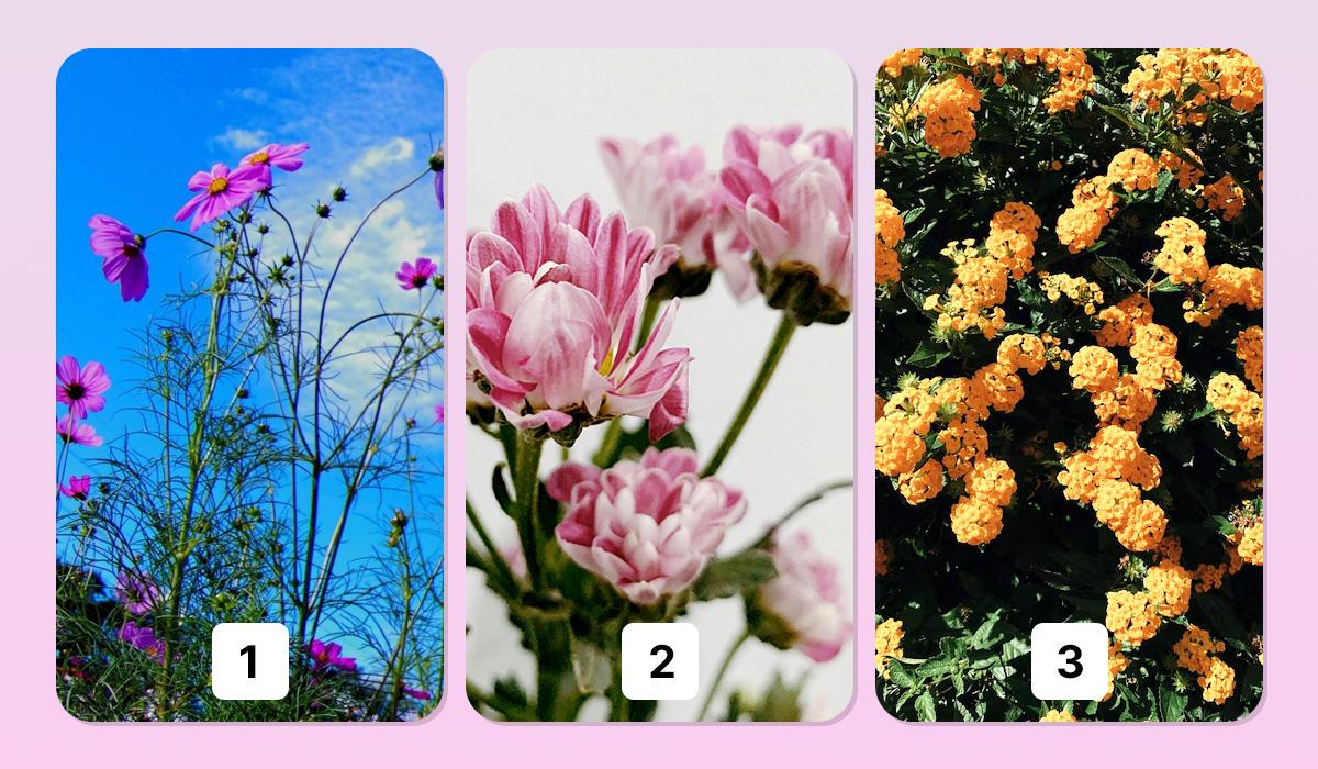 психологічний тест