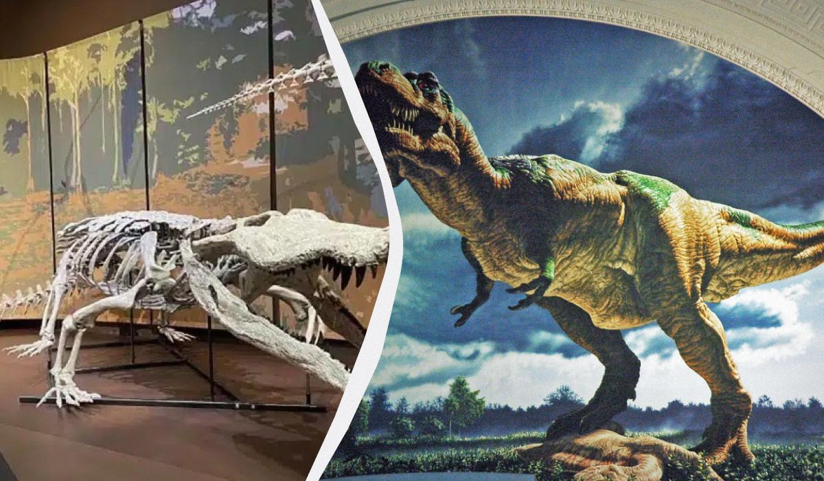 Вчені виявили рештки 9-метрового крокодила, який пожирав динозаврів: чим ще він особливий